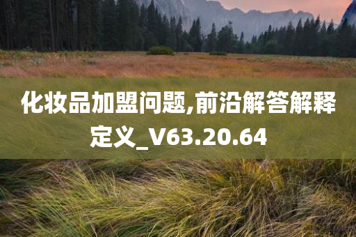 化妆品加盟问题,前沿解答解释定义_V63.20.64