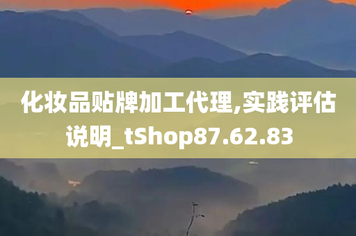 化妆品贴牌加工代理,实践评估说明_tShop87.62.83