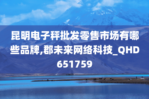 昆明电子秤批发零售市场有哪些品牌,郡未来网络科技_QHD651759