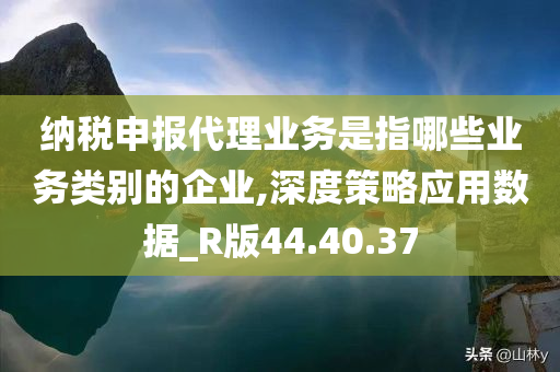 纳税申报代理业务是指哪些业务类别的企业,深度策略应用数据_R版44.40.37