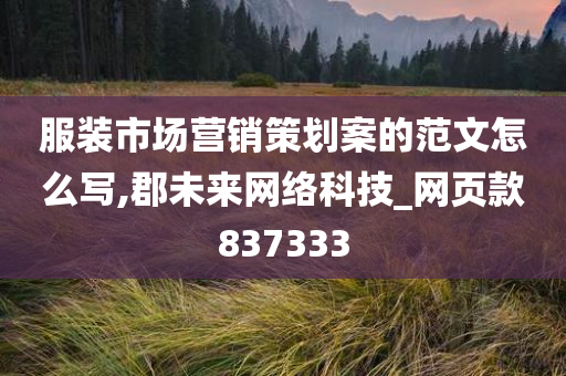 服装市场营销策划案的范文怎么写,郡未来网络科技_网页款837333