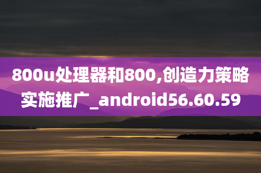 800u处理器和800,创造力策略实施推广_android56.60.59