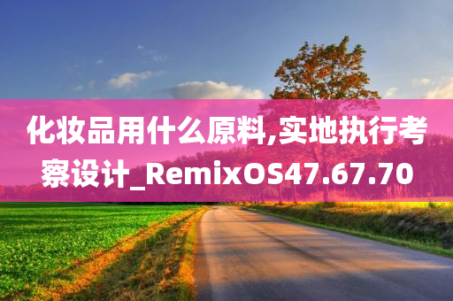 化妆品用什么原料,实地执行考察设计_RemixOS47.67.70