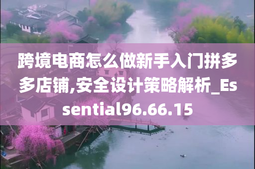 跨境电商怎么做新手入门拼多多店铺,安全设计策略解析_Essential96.66.15