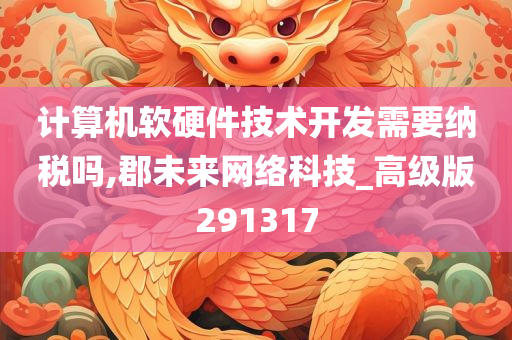 计算机软硬件技术开发需要纳税吗,郡未来网络科技_高级版291317