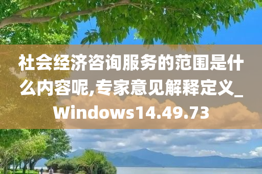 社会经济咨询服务的范围是什么内容呢,专家意见解释定义_Windows14.49.73