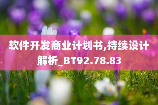 软件开发商业计划书,持续设计解析_BT92.78.83