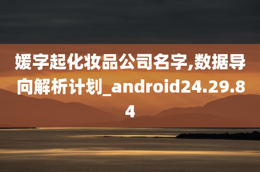 媛字起化妆品公司名字,数据导向解析计划_android24.29.84