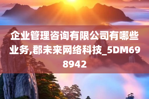 企业管理咨询有限公司有哪些业务,郡未来网络科技_5DM698942