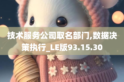 技术服务公司取名部门,数据决策执行_LE版93.15.30