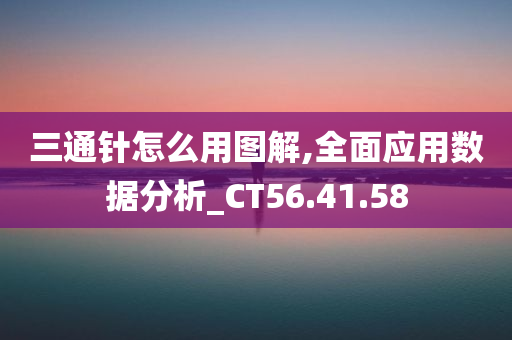 三通针怎么用图解,全面应用数据分析_CT56.41.58