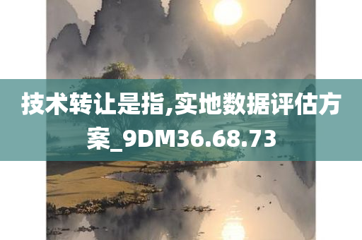 技术转让是指,实地数据评估方案_9DM36.68.73