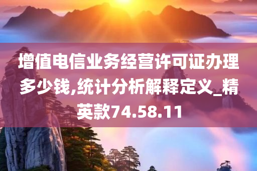 增值电信业务经营许可证办理多少钱,统计分析解释定义_精英款74.58.11