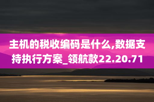 主机的税收编码是什么,数据支持执行方案_领航款22.20.71