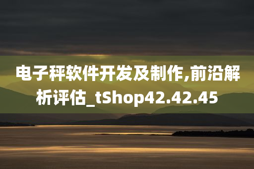 电子秤软件开发及制作,前沿解析评估_tShop42.42.45