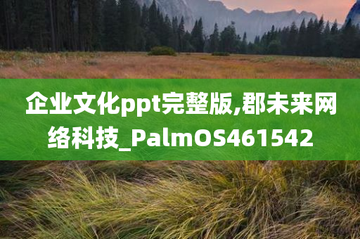 企业文化ppt完整版,郡未来网络科技_PalmOS461542