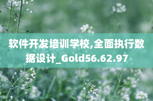 软件开发培训学校,全面执行数据设计_Gold56.62.97