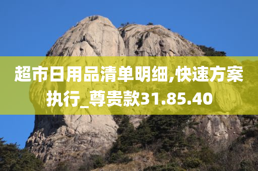 超市日用品清单明细,快速方案执行_尊贵款31.85.40