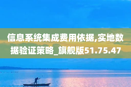 信息系统集成费用依据,实地数据验证策略_旗舰版51.75.47