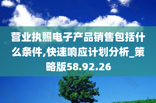 营业执照电子产品销售包括什么条件,快速响应计划分析_策略版58.92.26