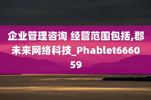 企业管理咨询 经营范围包括,郡未来网络科技_Phablet666059