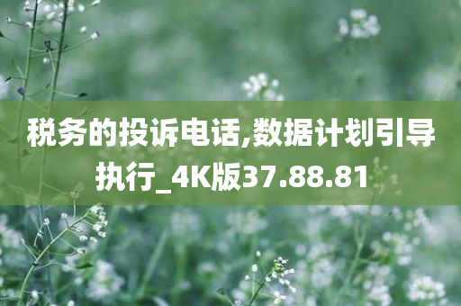 税务的投诉电话,数据计划引导执行_4K版37.88.81