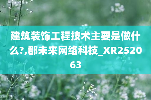 建筑装饰工程技术主要是做什么?,郡未来网络科技_XR252063