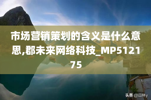 市场营销策划的含义是什么意思,郡未来网络科技_MP512175