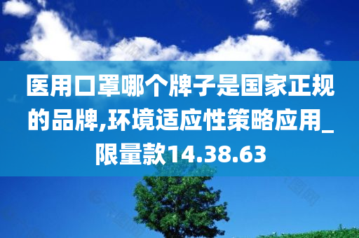 医用口罩哪个牌子是国家正规的品牌,环境适应性策略应用_限量款14.38.63