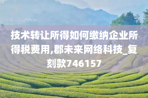 技术转让所得如何缴纳企业所得税费用,郡未来网络科技_复刻款746157