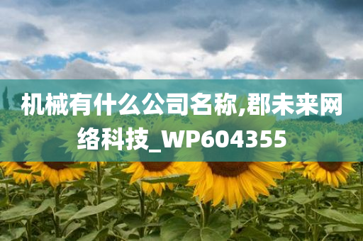 机械有什么公司名称,郡未来网络科技_WP604355