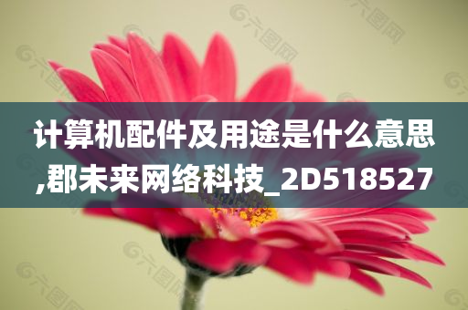 计算机配件及用途是什么意思,郡未来网络科技_2D518527