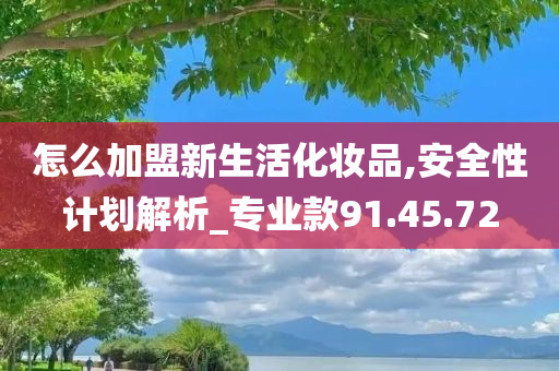 怎么加盟新生活化妆品,安全性计划解析_专业款91.45.72