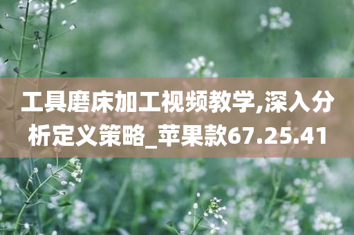 工具磨床加工视频教学,深入分析定义策略_苹果款67.25.41