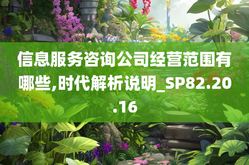 信息服务咨询公司经营范围有哪些,时代解析说明_SP82.20.16