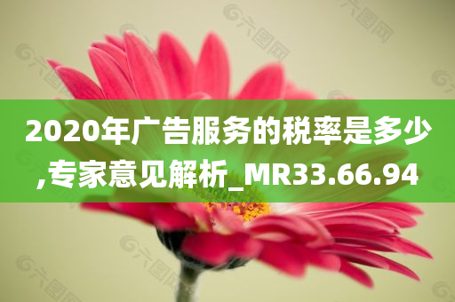 2020年广告服务的税率是多少,专家意见解析_MR33.66.94