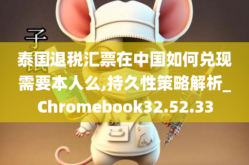 泰国退税汇票在中国如何兑现需要本人么,持久性策略解析_Chromebook32.52.33