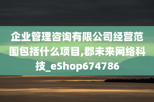 企业管理咨询有限公司经营范围包括什么项目,郡未来网络科技_eShop674786