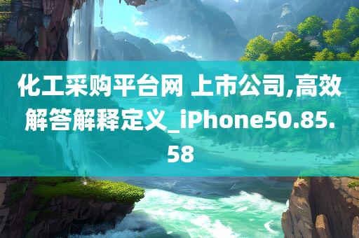 化工采购平台网 上市公司,高效解答解释定义_iPhone50.85.58