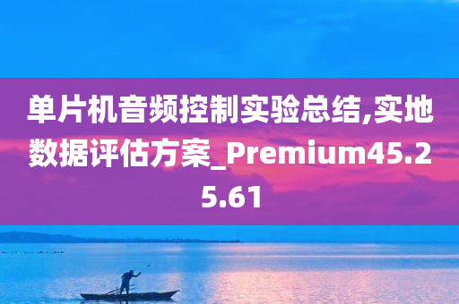 单片机音频控制实验总结,实地数据评估方案_Premium45.25.61