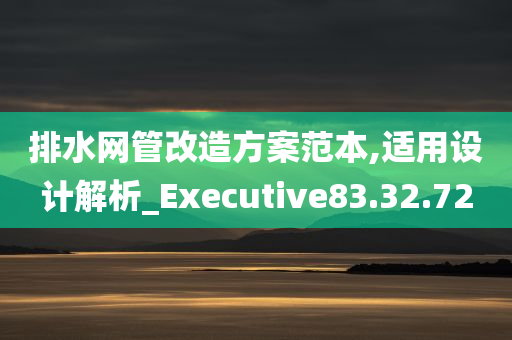 排水网管改造方案范本,适用设计解析_Executive83.32.72