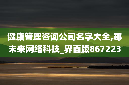 健康管理咨询公司名字大全,郡未来网络科技_界面版867223