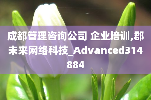 成都管理咨询公司 企业培训,郡未来网络科技_Advanced314884