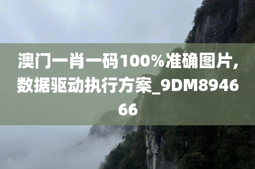 澳门一肖一码100%准确图片,数据驱动执行方案_9DM894666