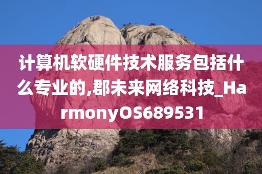 计算机软硬件技术服务包括什么专业的,郡未来网络科技_HarmonyOS689531