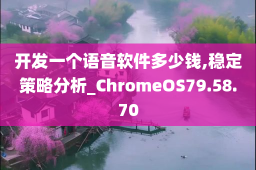 开发一个语音软件多少钱,稳定策略分析_ChromeOS79.58.70