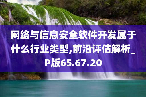 网络与信息安全软件开发属于什么行业类型,前沿评估解析_P版65.67.20