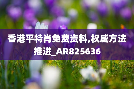 香港平特肖免费资料,权威方法推进_AR825636