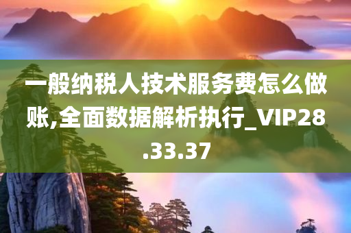 一般纳税人技术服务费怎么做账,全面数据解析执行_VIP28.33.37