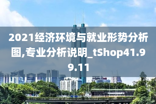 2021经济环境与就业形势分析图,专业分析说明_tShop41.99.11